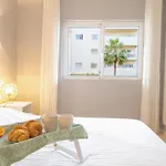 Vila Marachique