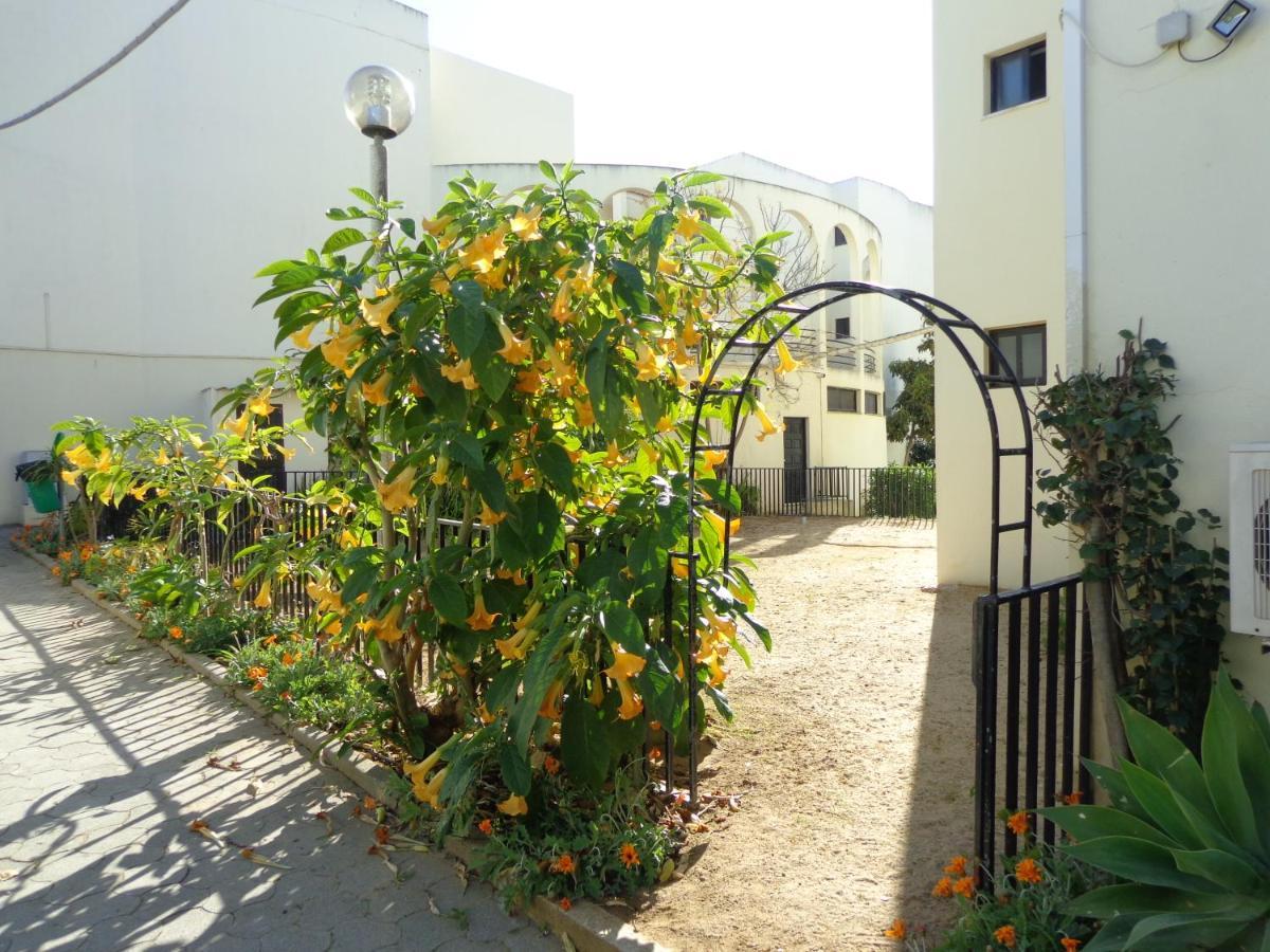 T3 Apartamento