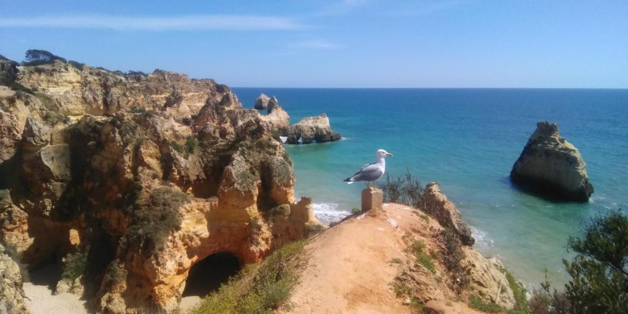 Alburvillage A - Novo Em Alvor