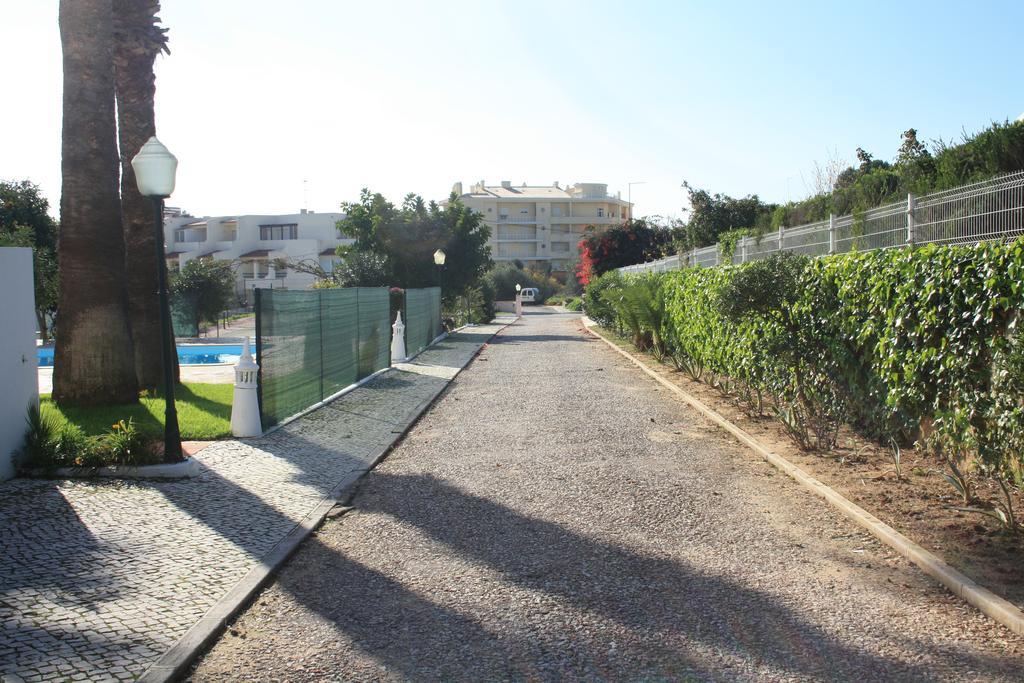 Amoreira Alvor