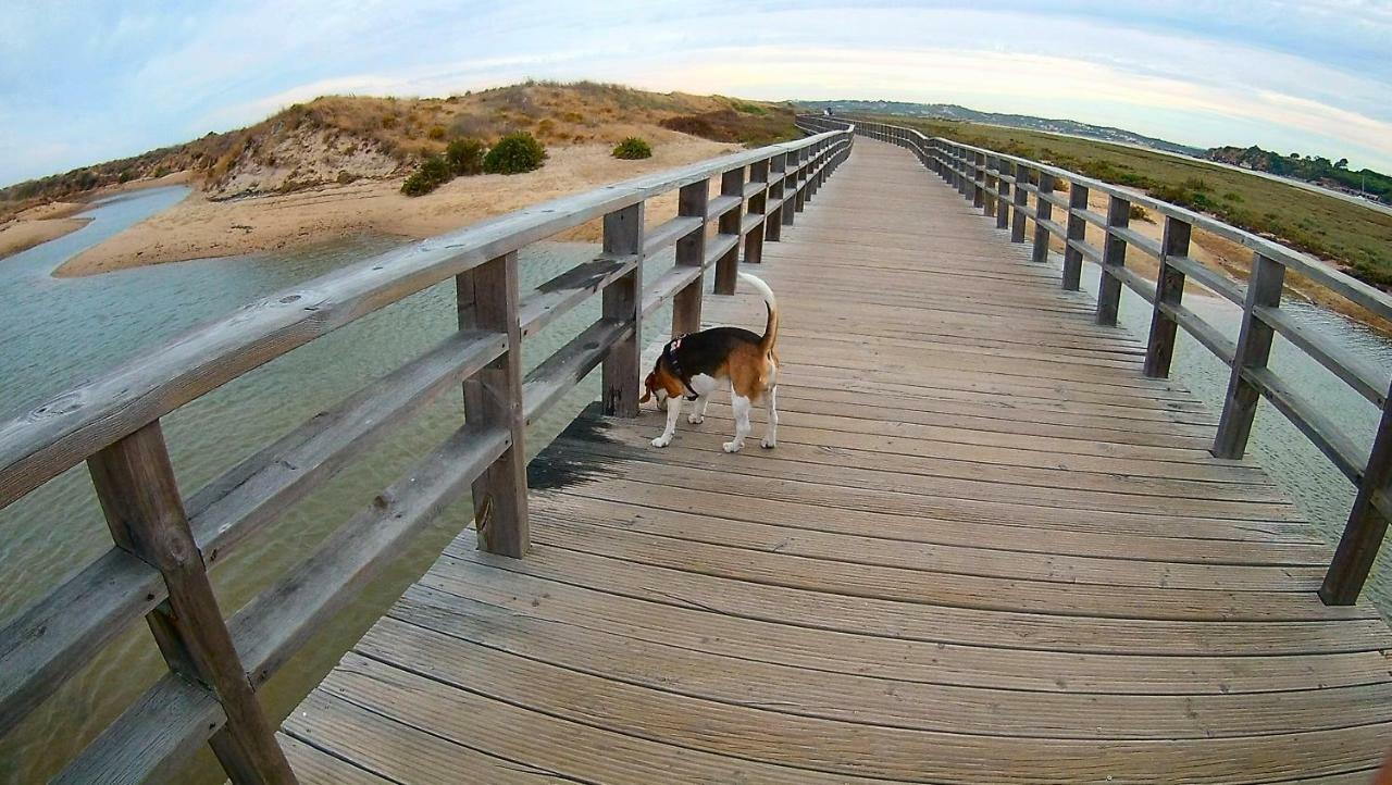 Lovely * Alvor