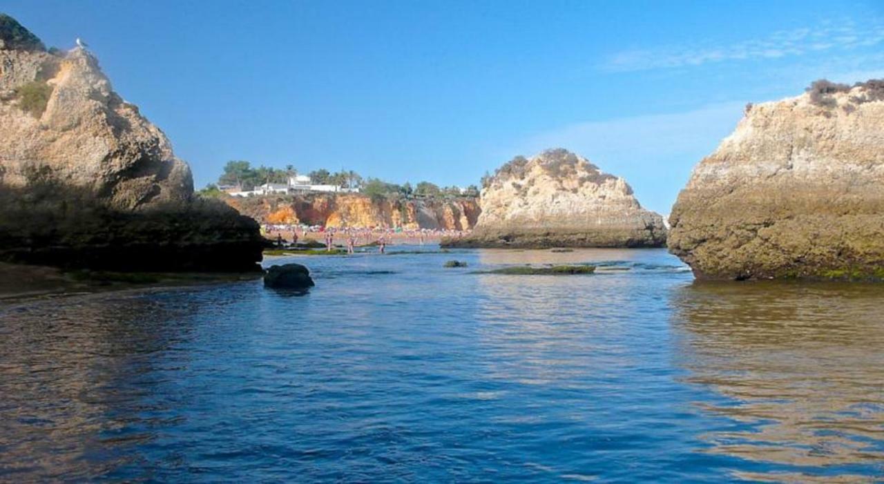 Vau Costa 41