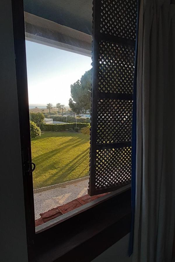 Papirus Alvor