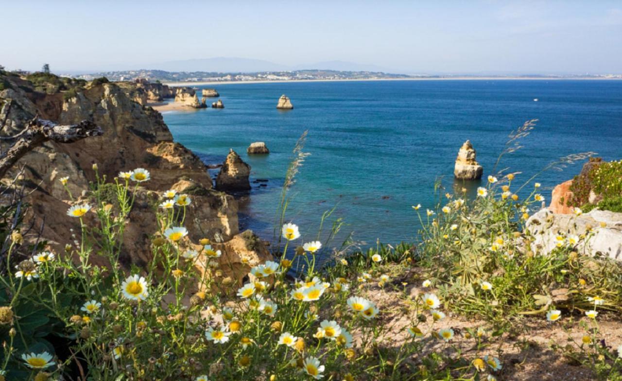 Marachique Alvor
