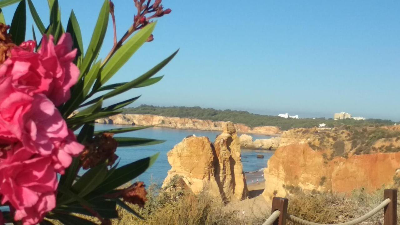 Albur Village B - Camomile Apartment Alvor