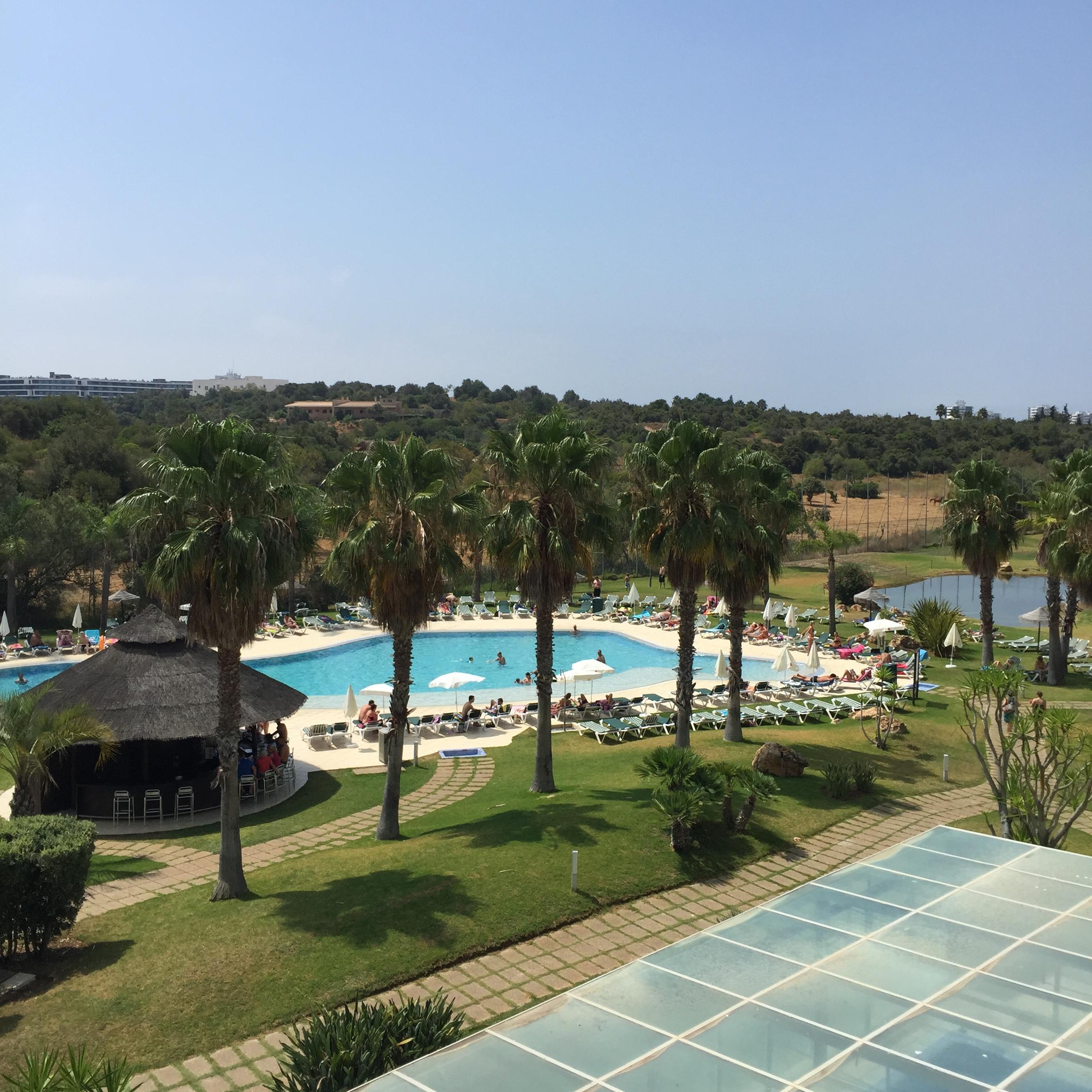 Yellow Garden - Alvor