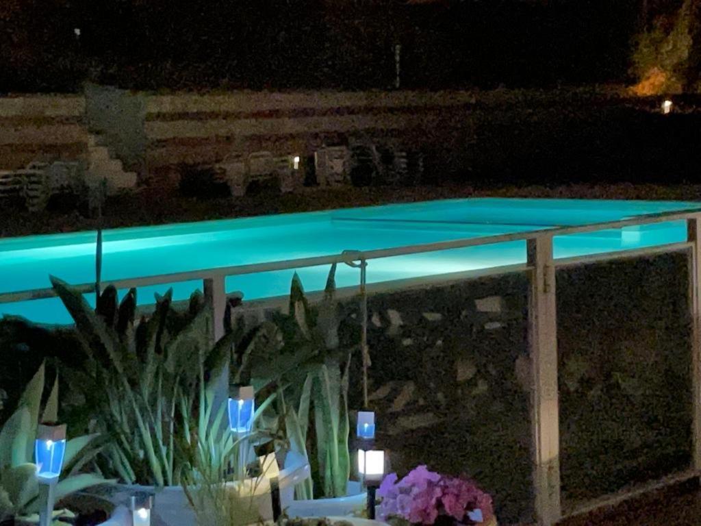 Ma Partilha * Alvor