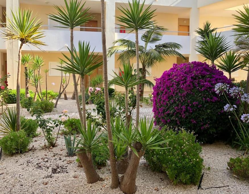 Beautiful With Shared Pool,vila Da * Alvor