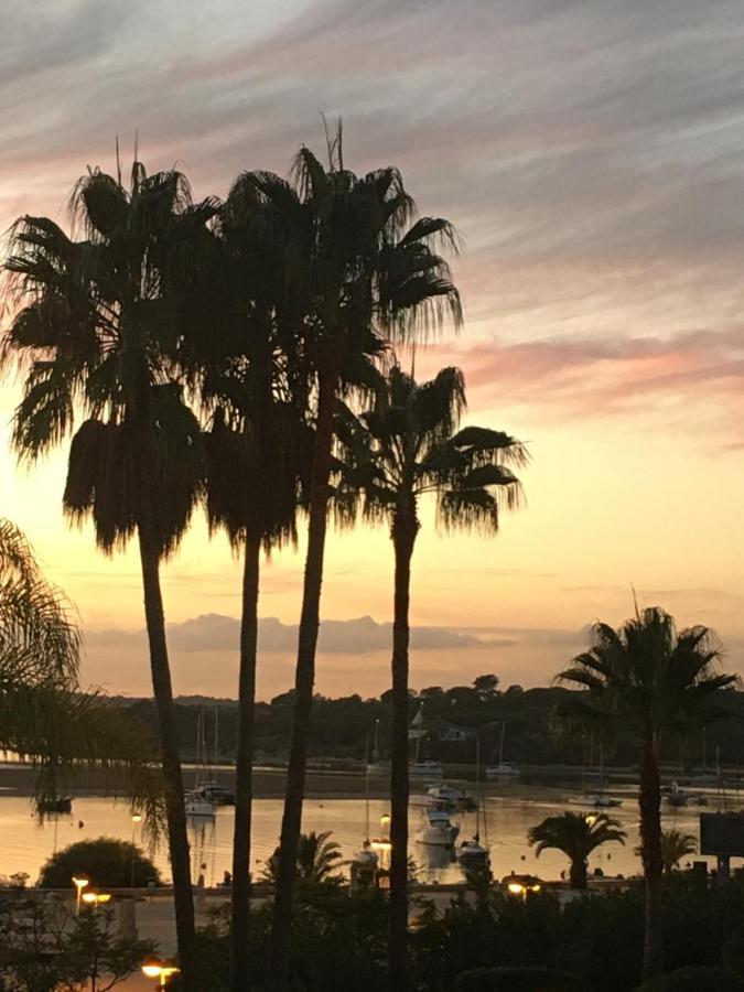 Sunset Dream Alvor