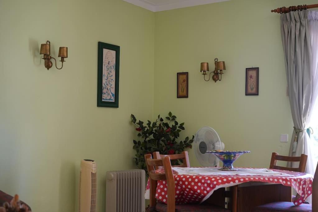 Apartamento Spacious Portuguese Flat With Pool Next To