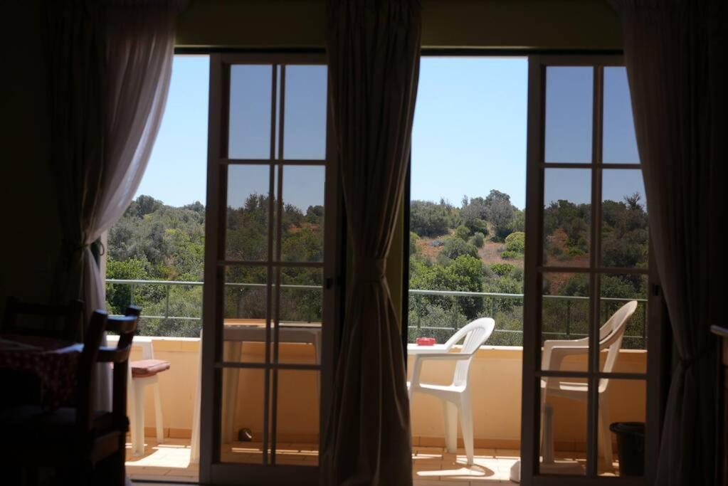 Spacious Portuguese Flat With Pool Next To
