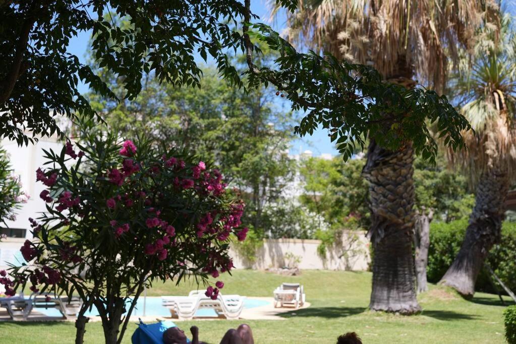 Apartamento Spacious Portuguese Flat With Pool Next To