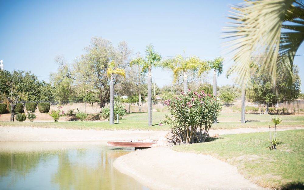 Yellow Garden - Alvor