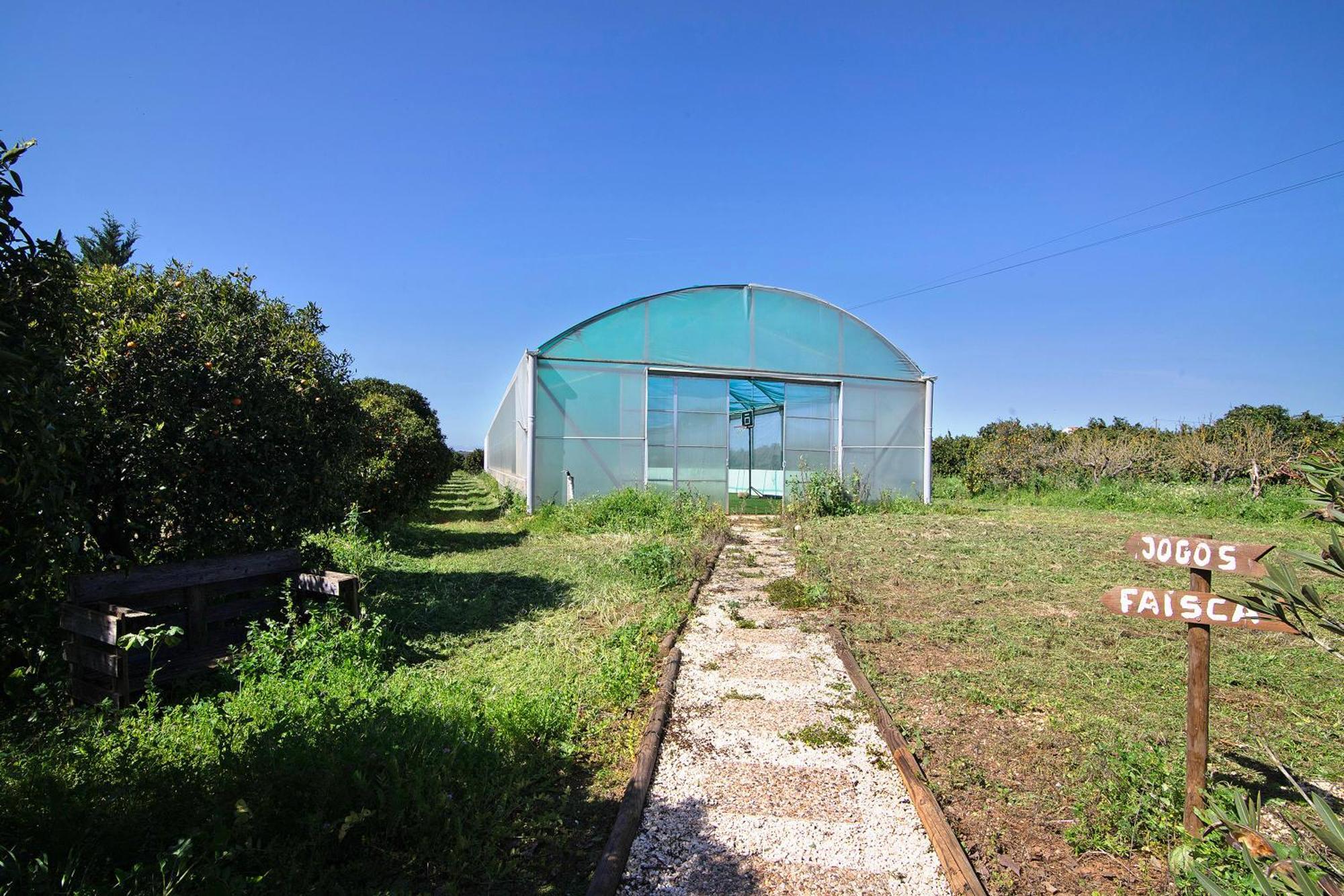 Casa Laranja Canela *