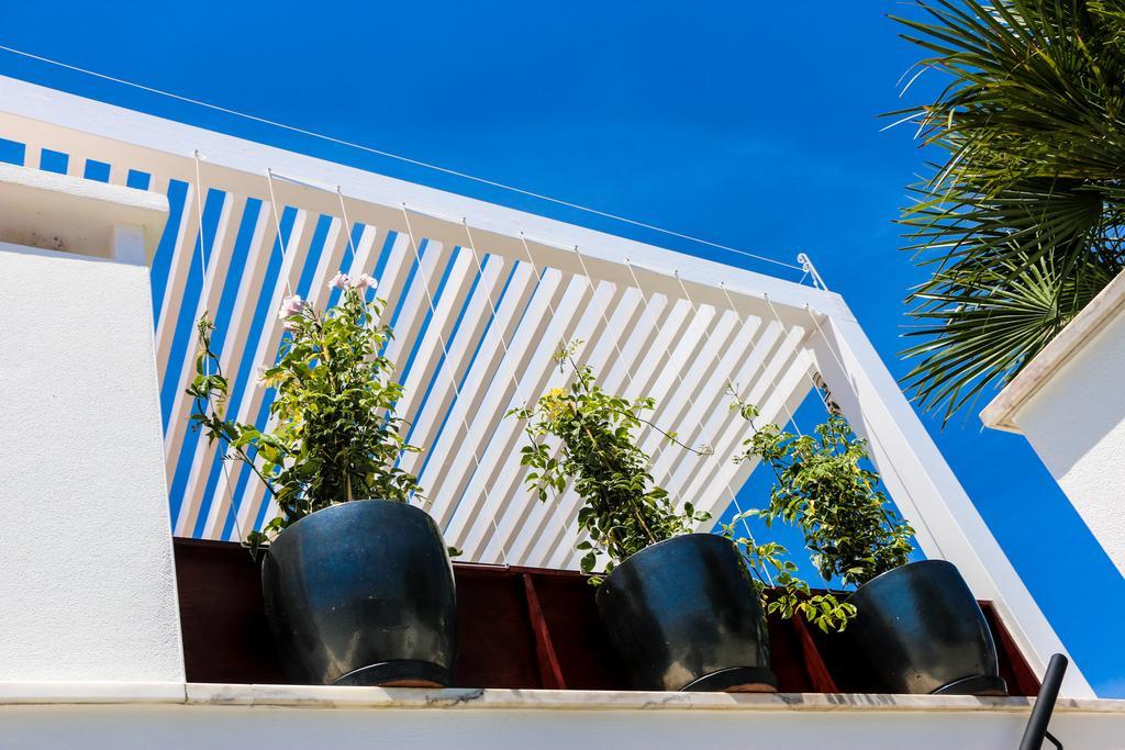 The Birds Nest Casa de Férias *