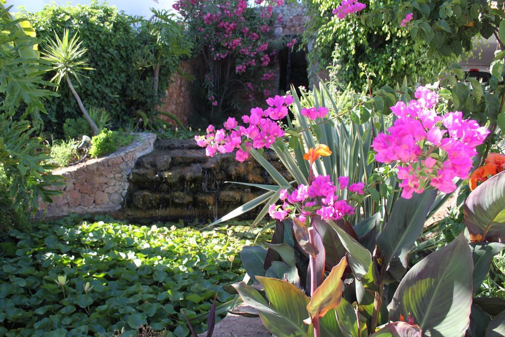 Villa Alto Club Oleander *