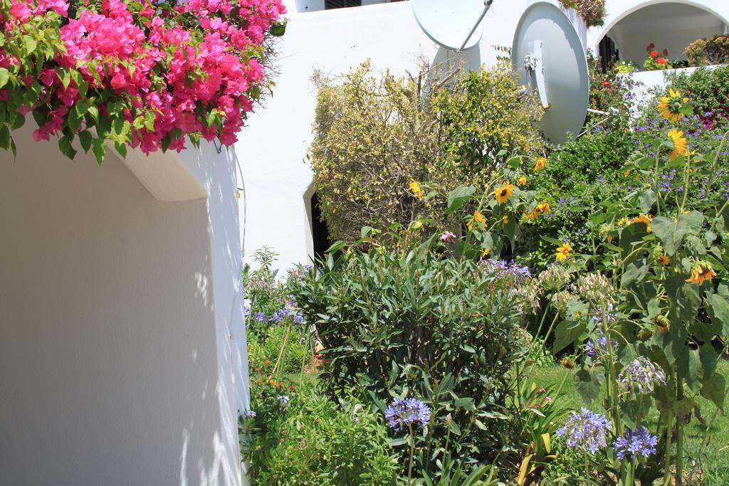 Villa Alto Club Oleander *