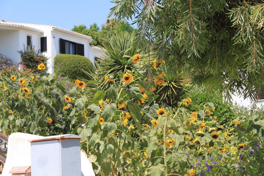 Alto Club Oleander Alvor