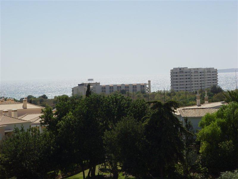 Maralvor