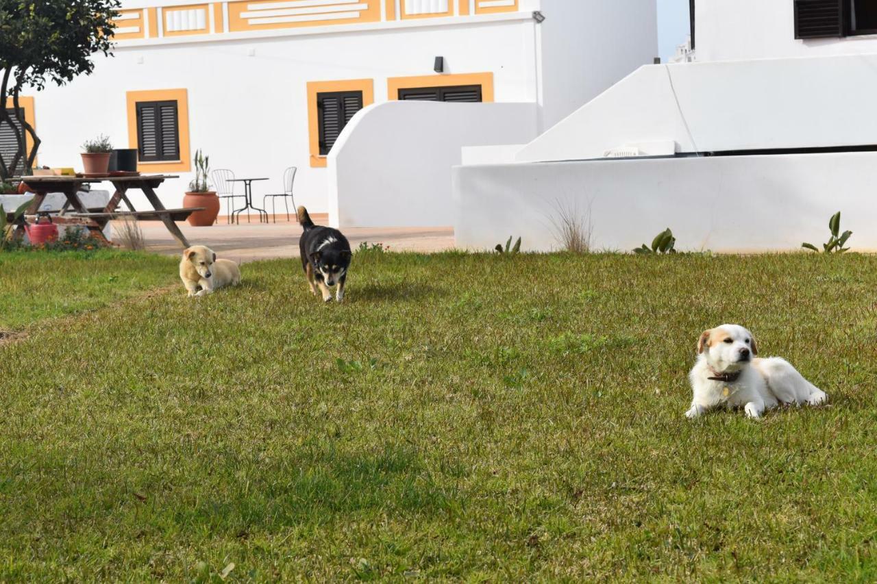 Casa de Férias Quinta David