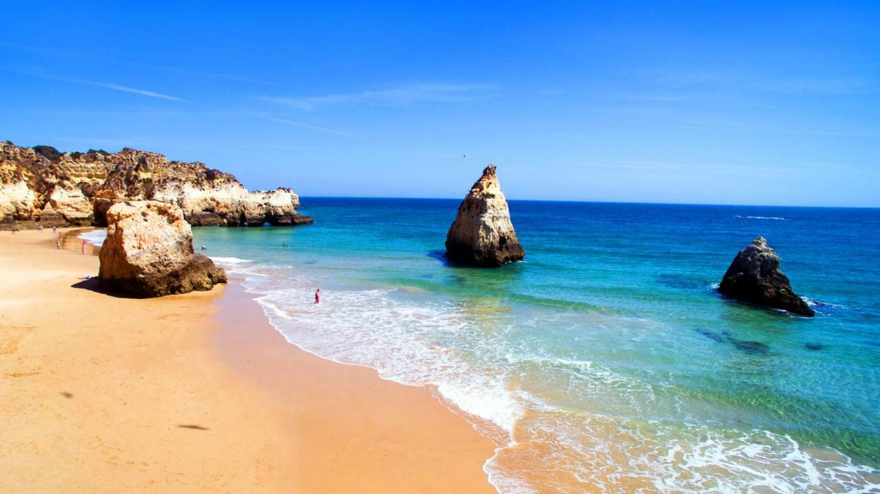 Amoreira Alvor
