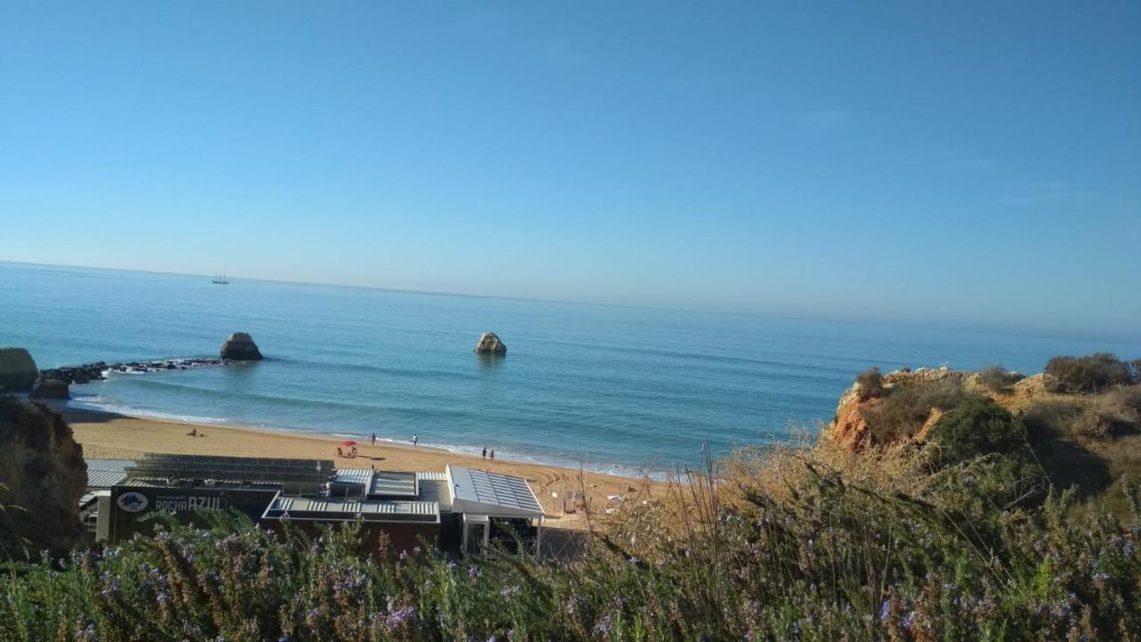 Albur Village B - Dandelion * Alvor