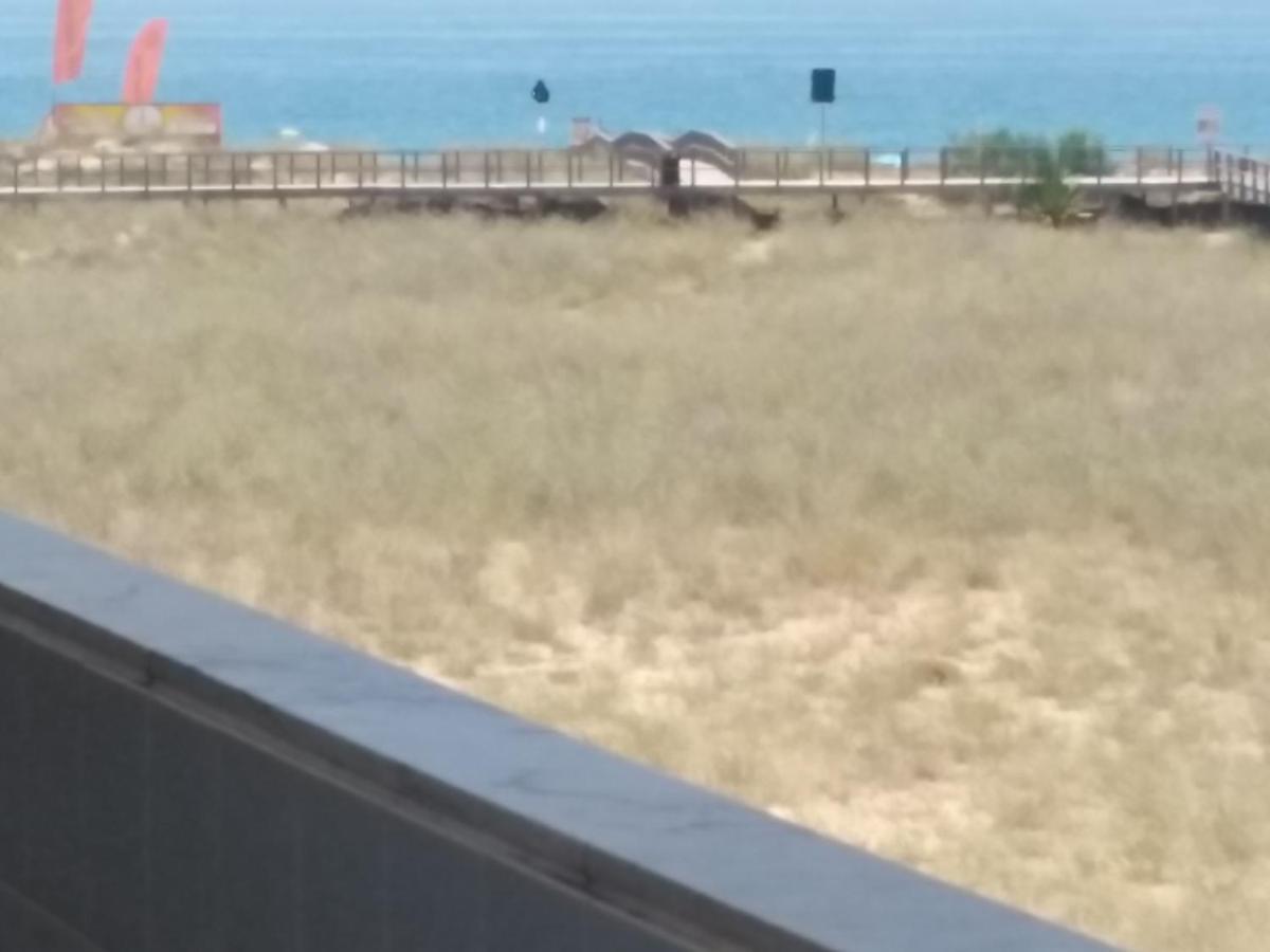 Front Line Bay Alvor