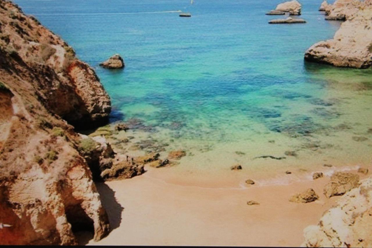 Vadimar Holidays *