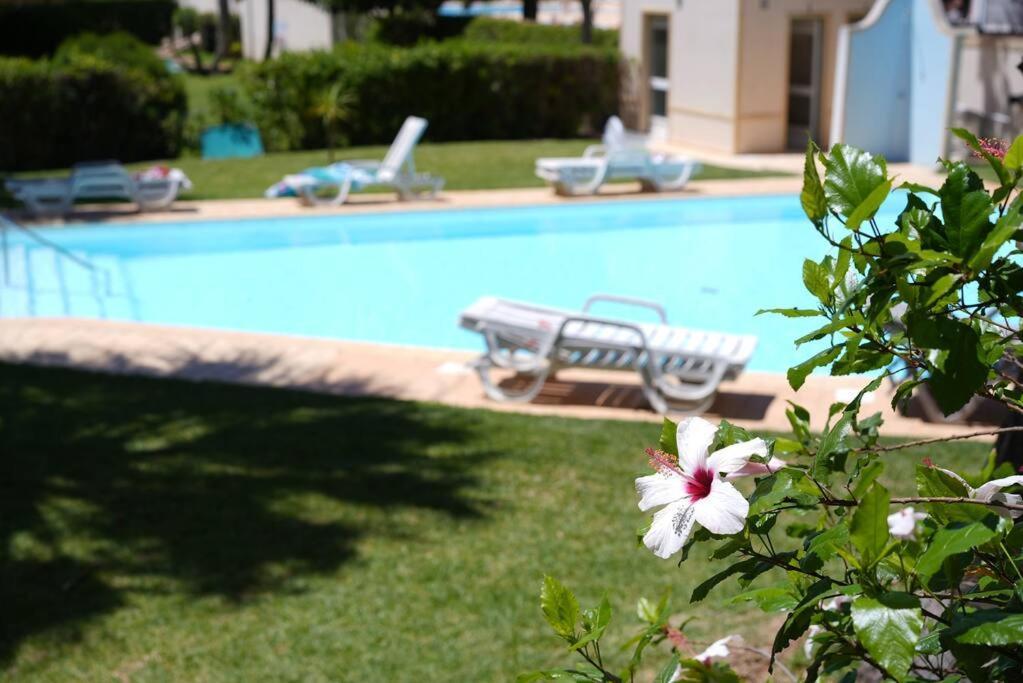 Apartment Spacious Portuguese Flat With Pool Next To Alvor