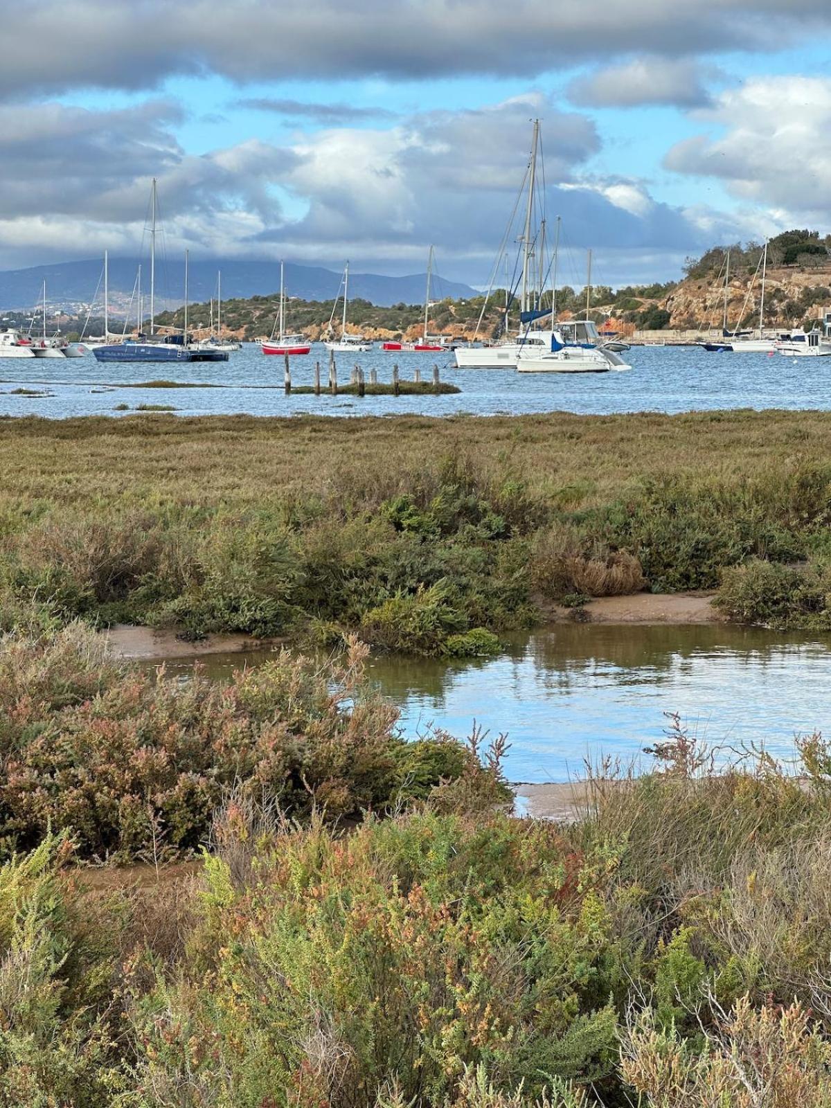 Estudio Azul * Alvor